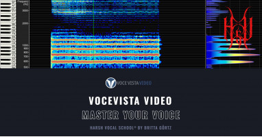 VoceVista Video