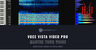 VoceVista Video Pro